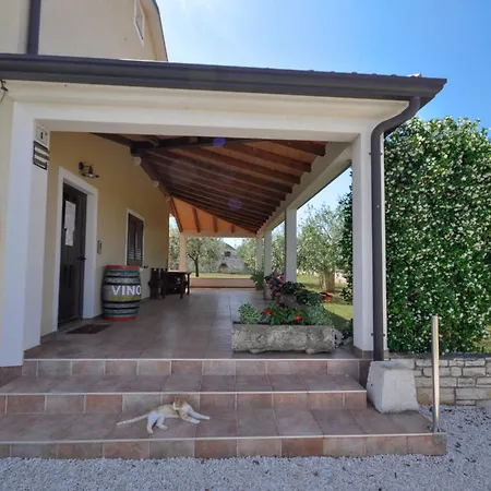 Angela Mit Terrasse By Interhome Apartment Dajla