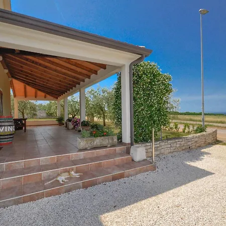 Angela Mit Terrasse By Interhome Apartment Dajla