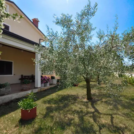 Appartement Angela Mit Terrasse By Interhome Dajla
